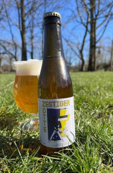 Zotte zestiger